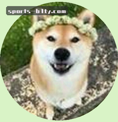 郑涛